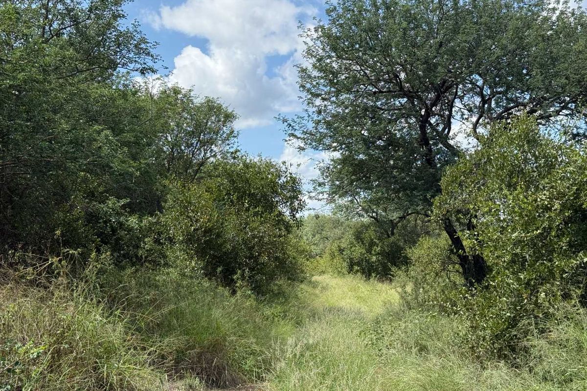 Prime Development opportunity between Hoedspruit and Phalaborwa - Photo 5