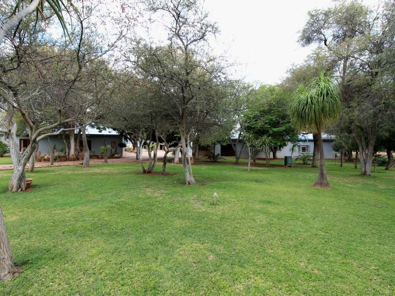 951ha Prime Wildlife, Cattle & Farming Farm for Sale – Limpopo Bushveld - Photo 7