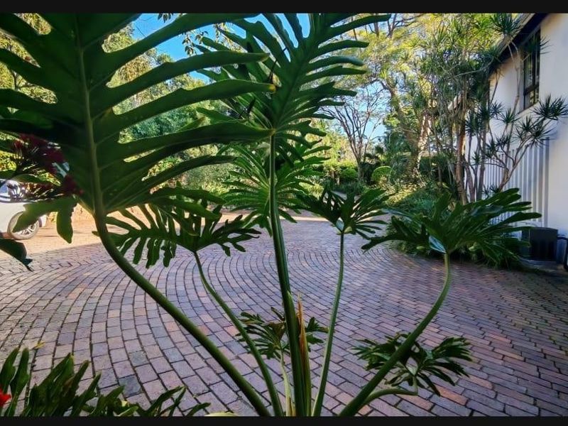 AN ENTERTAINER'S DREAM WITH DEVELOPMENT POTENTIAL! PERFECT LOCATION IN WESTVILLE - Photo 2
