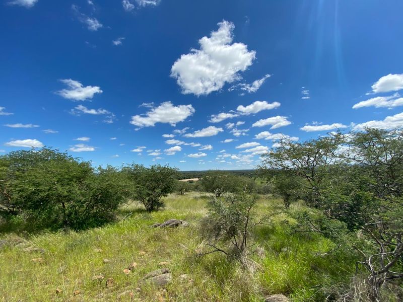 A scenic view of the natural landscape featuring indigenous trees and open grassland under a clear blue sky.