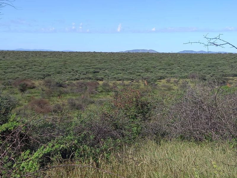 Outjo, 701 Ha Smallholding is for Sale - Photo 3