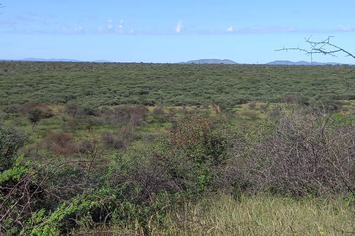 Outjo, 701 Ha Smallholding is for Sale - Photo 3