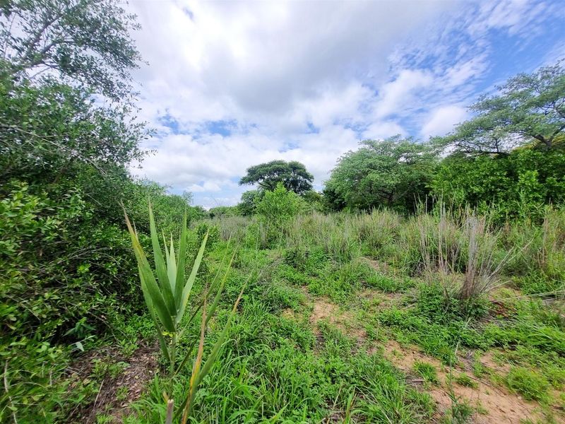 Well-Located, Riverfront Stand in Moditlo Wildlife Estate - Photo 2