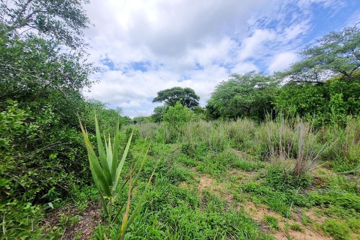 Well-Located, Riverfront Stand in Moditlo Wildlife Estate - Photo 2