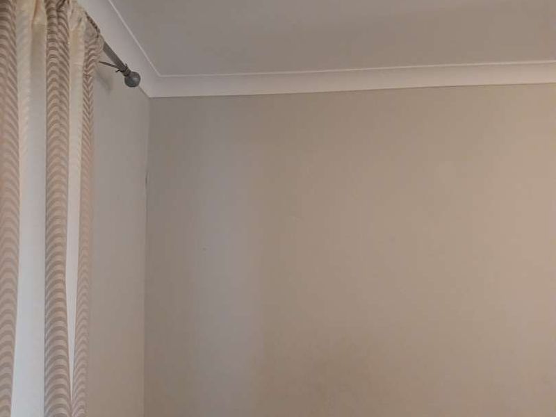 Clean Slate - Photo 10