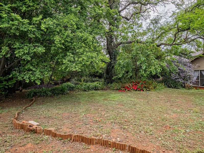 A spacious backyard garden featuring mature trees, established garden beds, and timber log edging, providing a private and leafy outdoor setting.