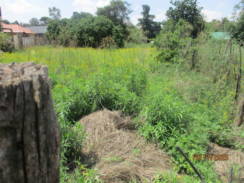 A view of an overgrown residential plot featuring dense vegetation and natural landscaping, suitable for future development or clearing.