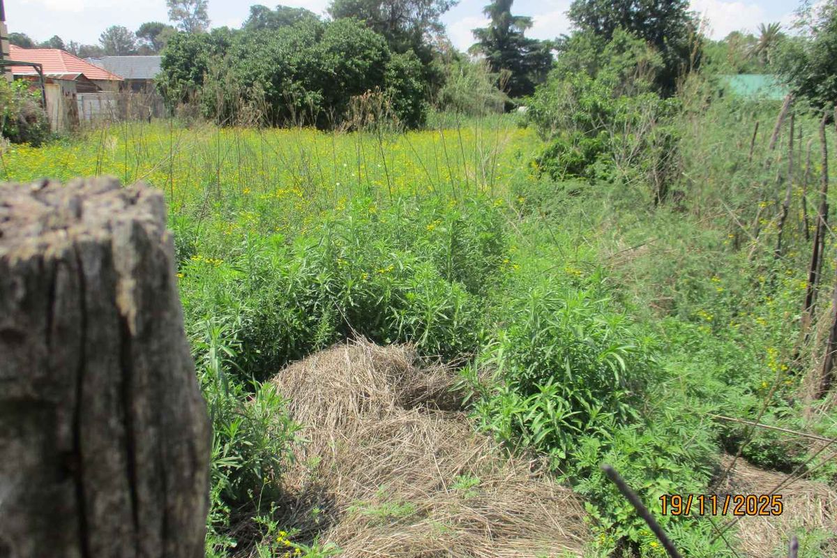 A view of an overgrown residential plot featuring dense vegetation and natural landscaping, suitable for future development or clearing.