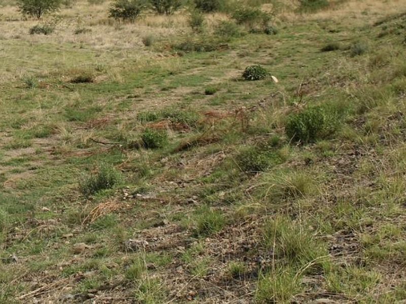 BRAKWATER - DOBRA VACANT LAND FOR SALE - Photo 3