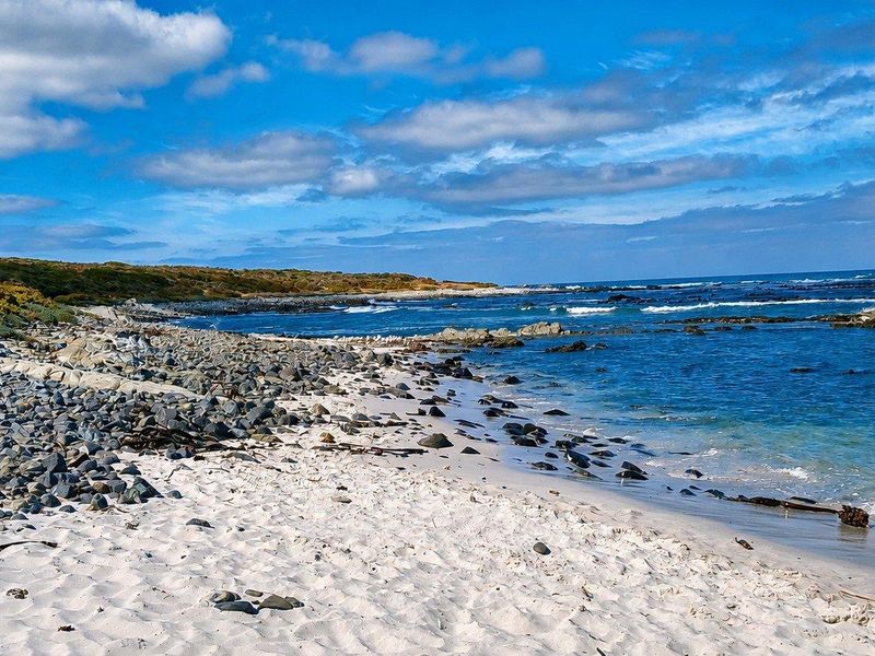 A scenic view of the natural coastline featuring a sandy beach, rocky shoreline, and clear ocean waters.