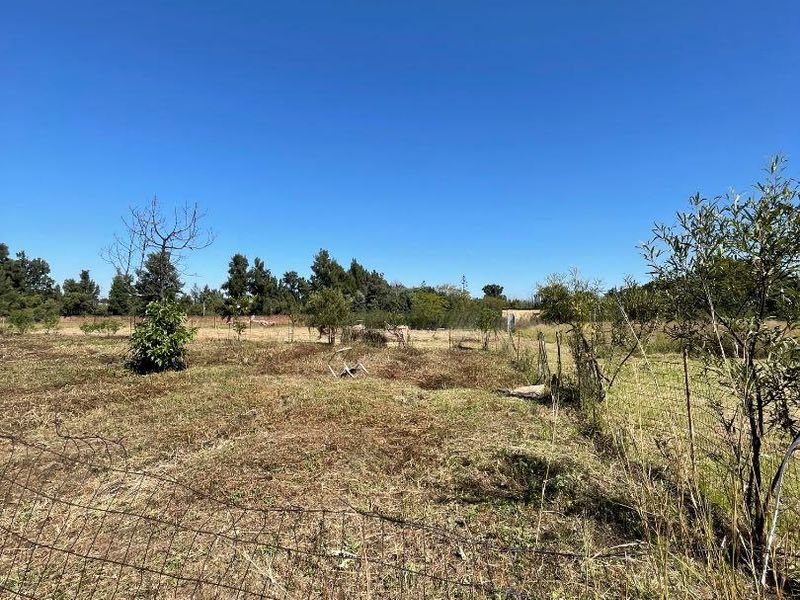 Land For Sale!! - Photo 4