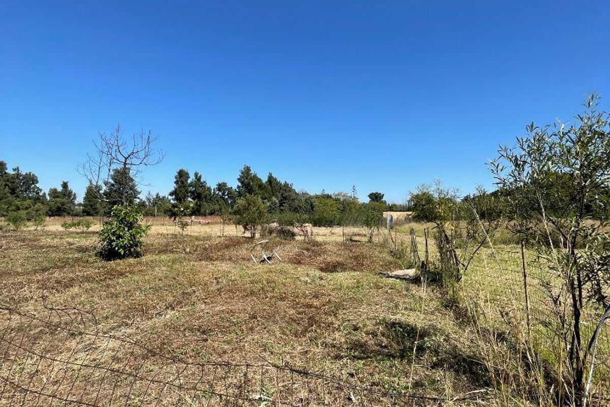Land For Sale!! - Photo 4