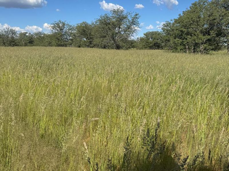 Live the Dream: 1500ha of Untamed Damaraland Bliss! - Photo 6