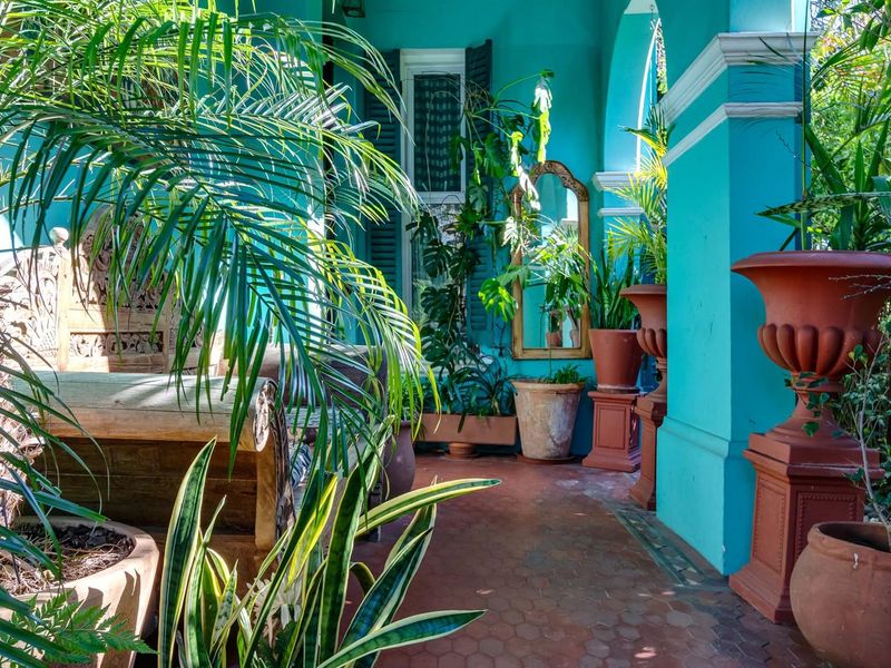 Most gorgeous character home for sale next to De Waal Park - Photo 7