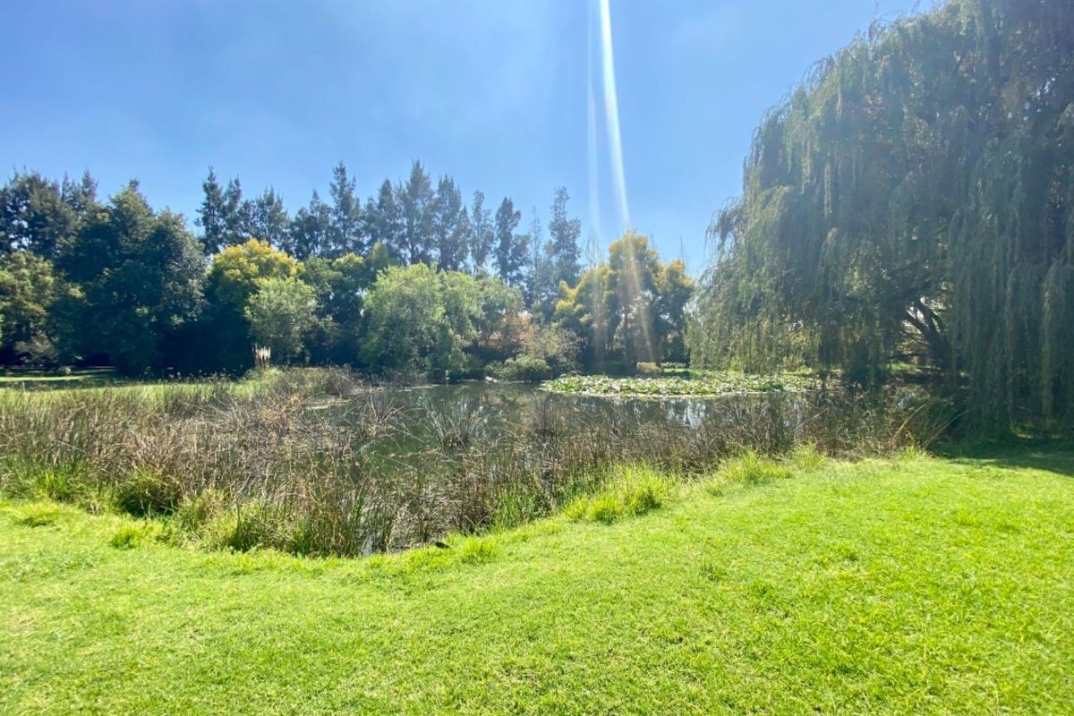 Development Opportunity. - Photo 3