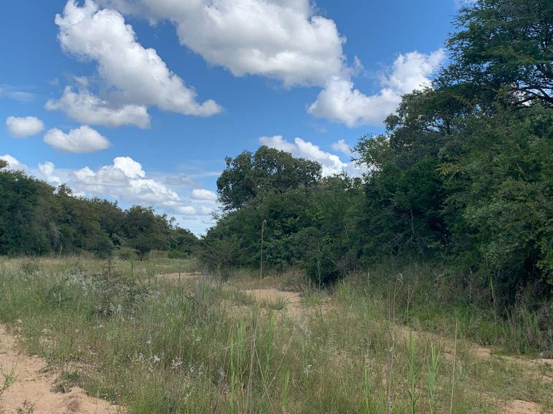 Welcome to the South African bushveld!   Lovely vacant riverbed stand for sale! - Photo 3