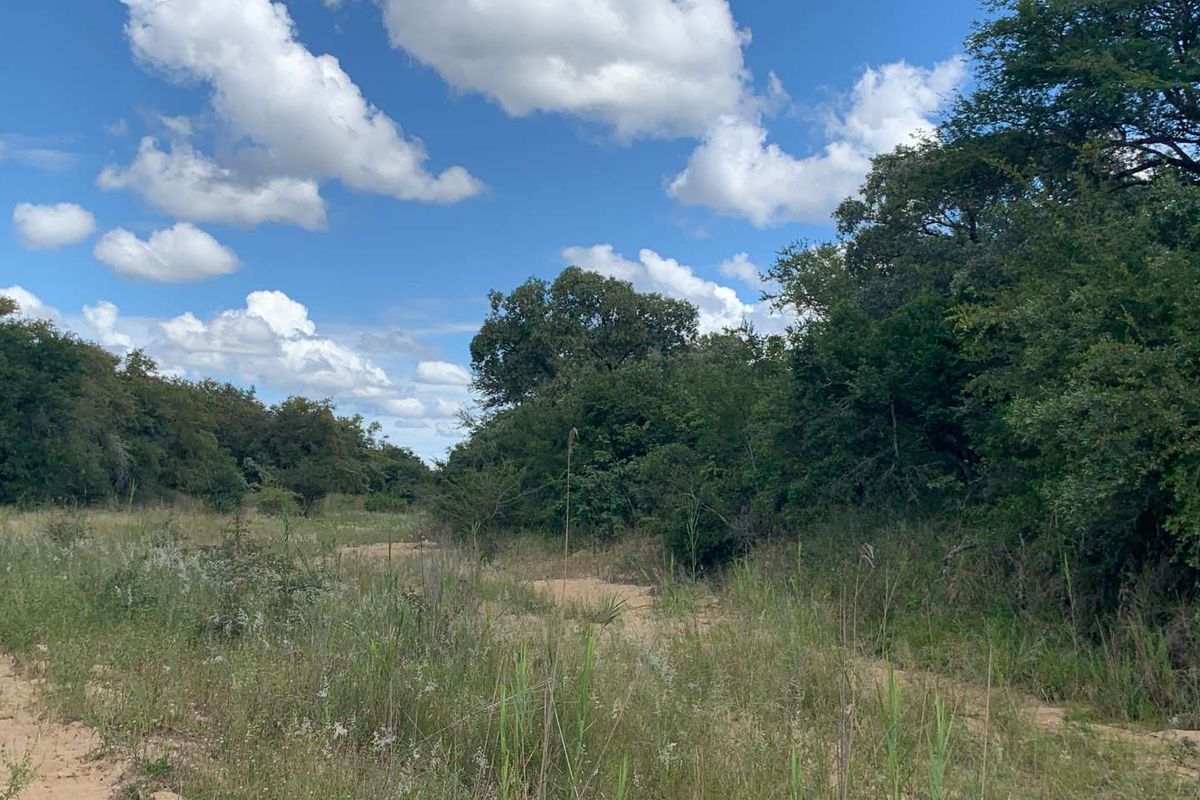 Welcome to the South African bushveld!   Lovely vacant riverbed stand for sale! - Photo 3