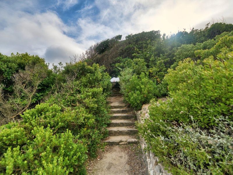 Landmark Property in De Kelders - Photo 2