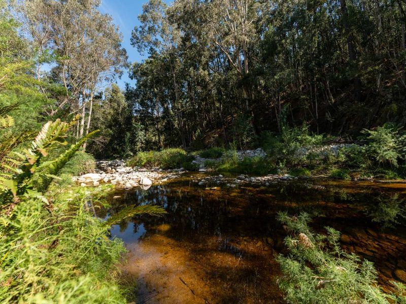 Escape to Nature: Your Private Retreat with Mountain Views, River & Dam - Photo 4