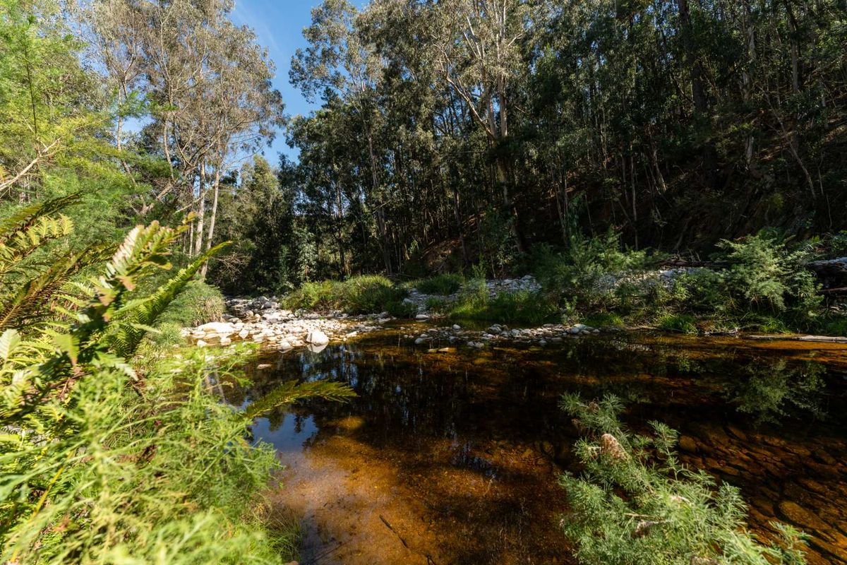 Escape to Nature: Your Private Retreat with Mountain Views, River & Dam - Photo 4