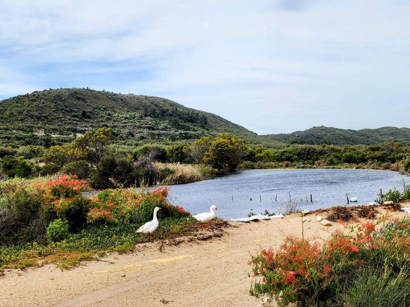 UYLEN KRAAL Farm, Gansbaai  – 42.8266 ha Lifestyle & Agricultural Opportunity - Photo 5
