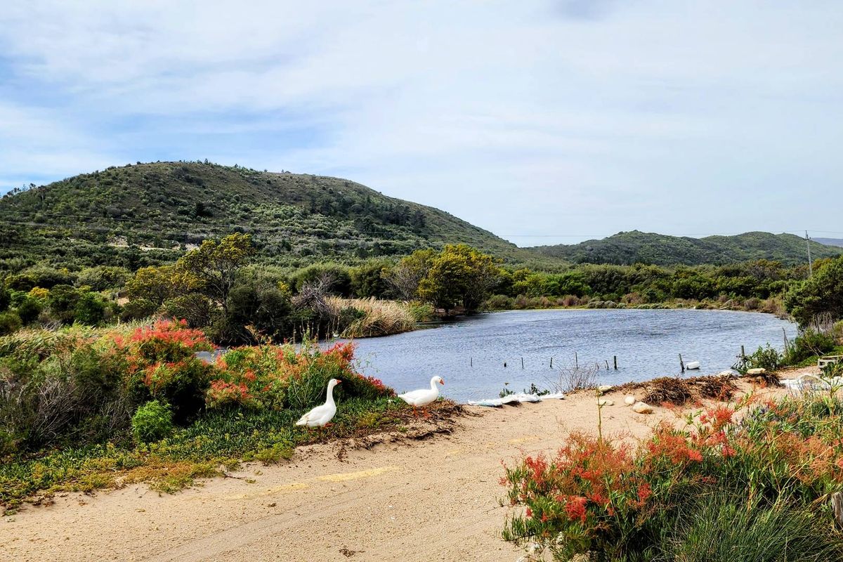 UYLEN KRAAL Farm, Gansbaai  – 42.8266 ha Lifestyle & Agricultural Opportunity - Photo 5