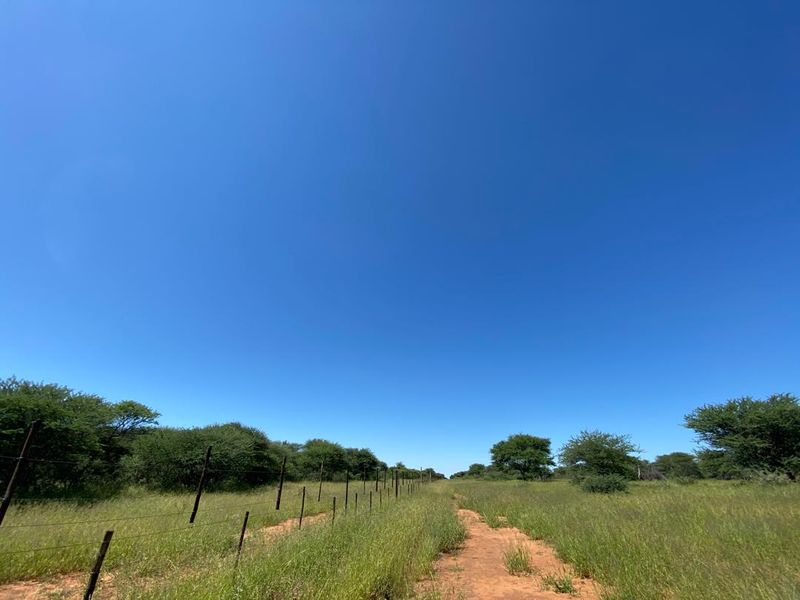 217 Hectares of Peaceful Living - Photo 5