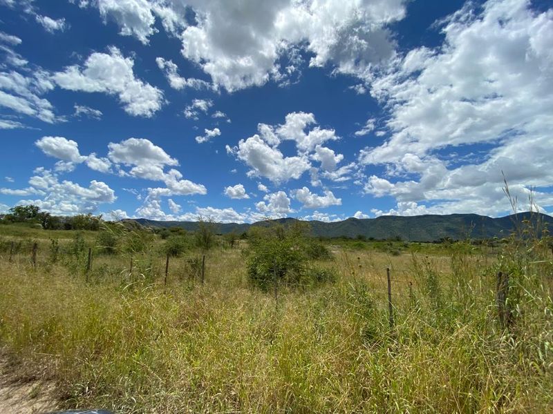 260 hectare agricultural plot, ideal for Centre pivot, feedlot or crop production - Photo 9