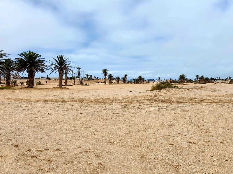 A wide-angle view of a vacant residential plot featuring sandy terrain and established palm trees.
