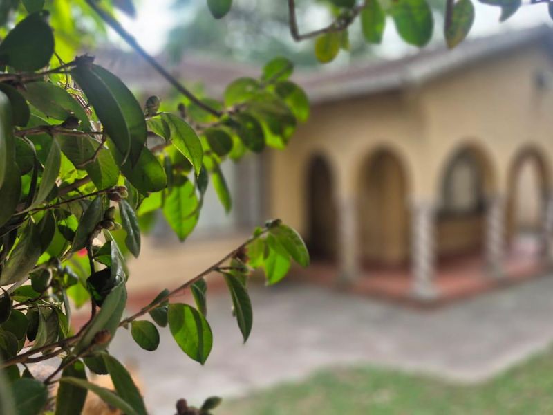 A view of the front facade featuring a covered veranda with arched openings and decorative columns, partially obscured by foreground foliage.