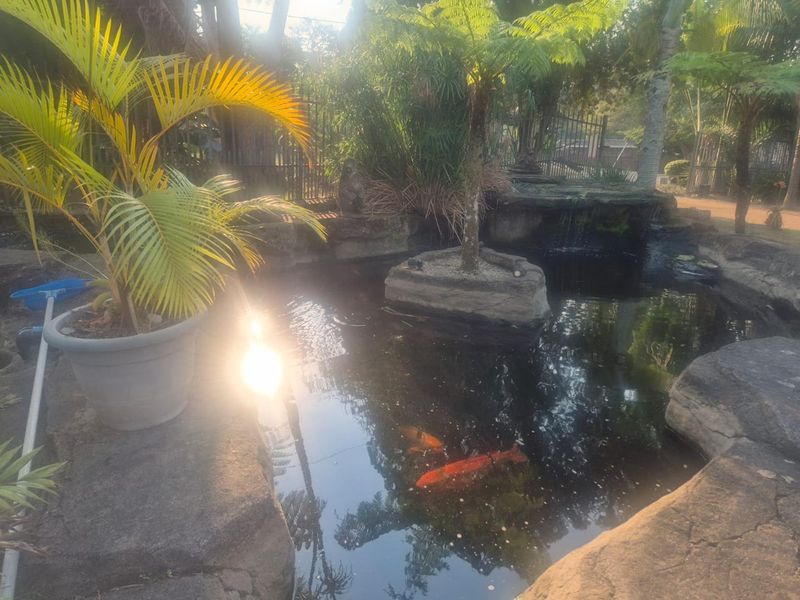 A landscaped garden pond featuring natural rock edging, a central island, and a built-in water feature.