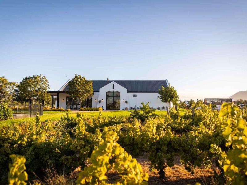 A beautiful rear view of a modern farmhouse-style home featuring a metal roof, black-framed windows, and a covered patio overlooking a private vineyard.