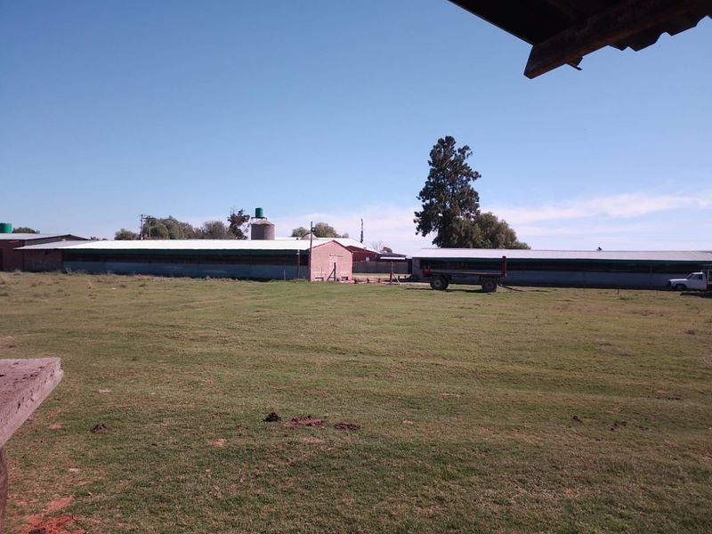 VAT REGISTERED EGG / LIVESTOSCK  FARM  STABIL HUGE INCOME PER MONTH - Photo 7