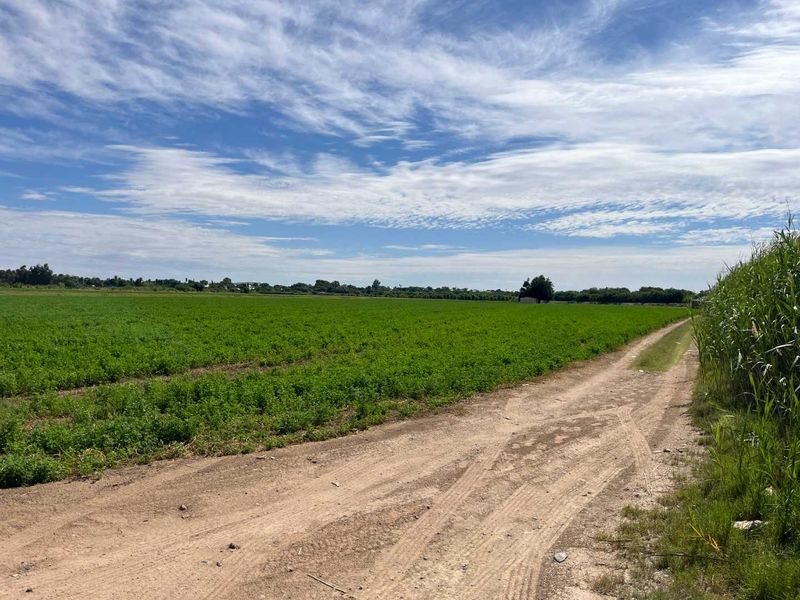 Prime 26 ha Agricultural Property plus 1.5ha building plot for Sale - Photo 6