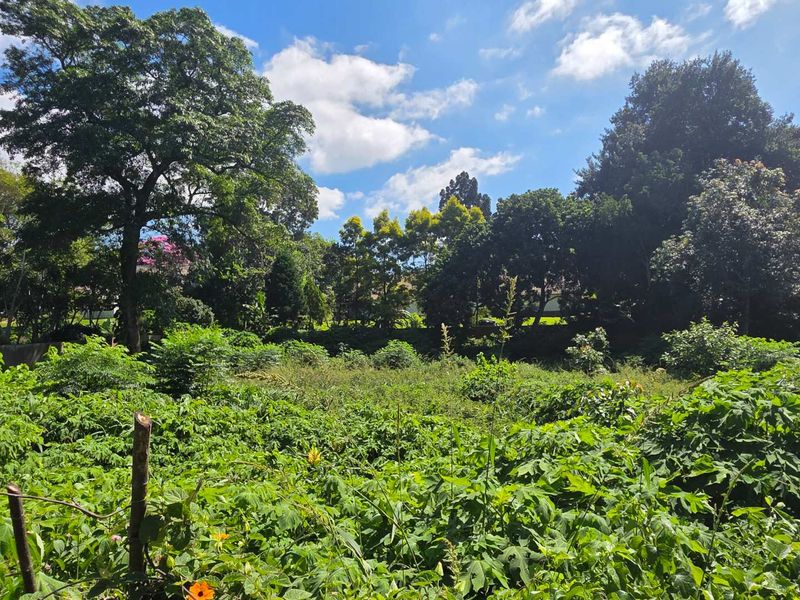 Prime Commercial Land for Sale in Kloof, Clifton Park - Photo 5