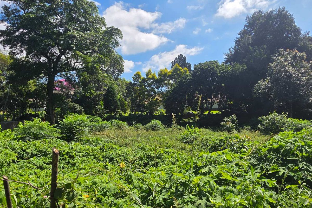 Prime Commercial Land for Sale in Kloof, Clifton Park - Photo 5