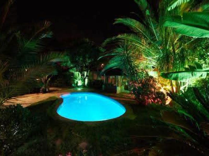 A night view of a swimming pool area surrounded by lush tropical landscaping and illuminated by integrated garden lighting.