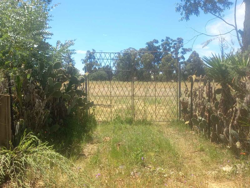 Build Your Dream Home/Business on Expansive Land in Walkerville - Photo 9