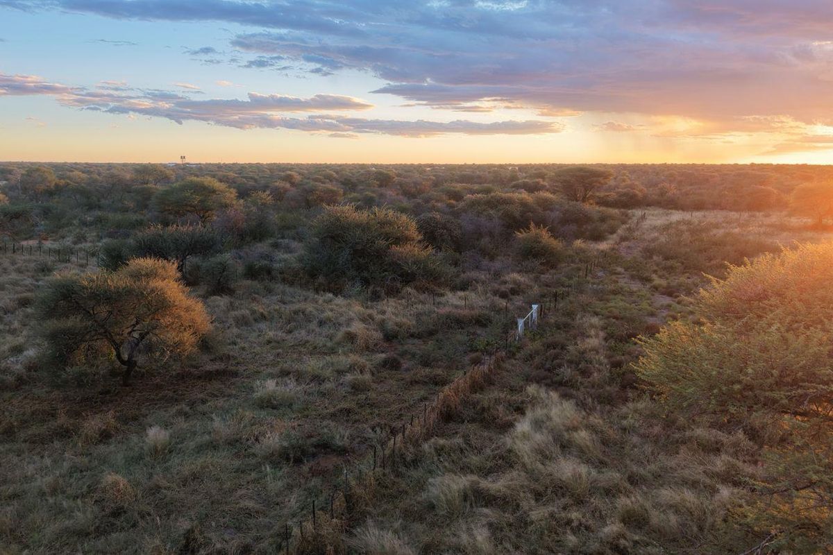 An aerial view of the expansive natural landscape and vegetation on the small holding property at sunset.