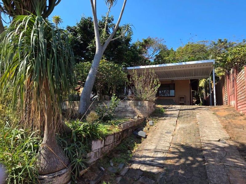 Front exterior view featuring a paved driveway, carport, and established garden with retaining walls and timber boundary fencing.