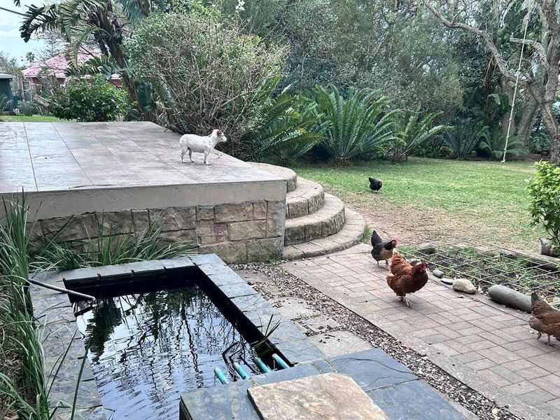 STUNNING 4 BEDROOM HOUSE WITH INCOME POTENTIAL - Photo 3