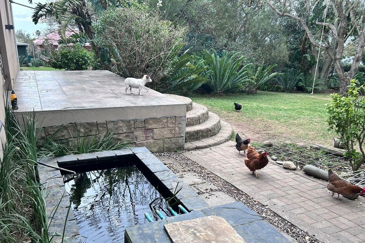 STUNNING 4 BEDROOM HOUSE WITH INCOME POTENTIAL - Photo 3