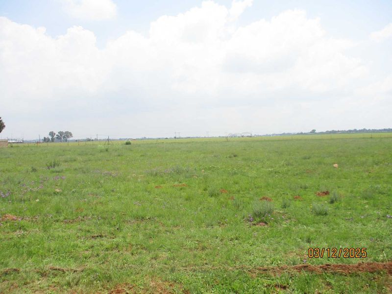 Enjoy the tranquility of Henley - Photo 7