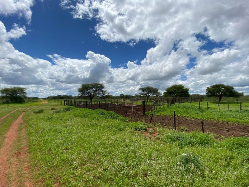 Open small holding land featuring a dirt access track and established livestock fencing and kraal area under a bright sky.