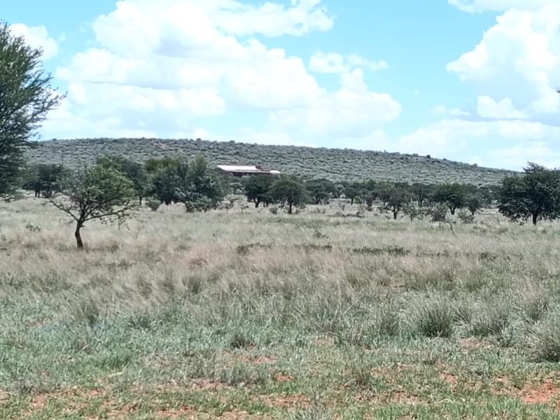 READY FOR DEVELEPMONT. 14 PLOTS . IN GAME FARM. BEAUTIFUL VIEW. - Photo 9