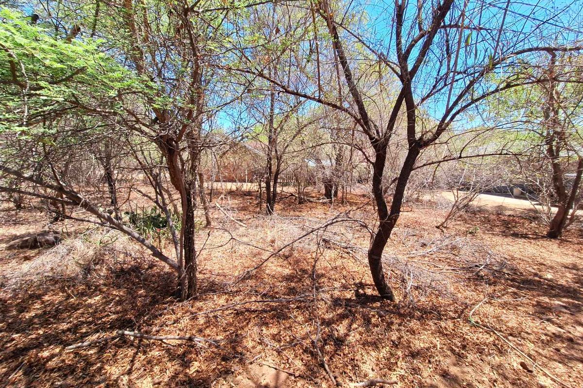 A view of the vacant residential land featuring mature trees and natural ground cover.