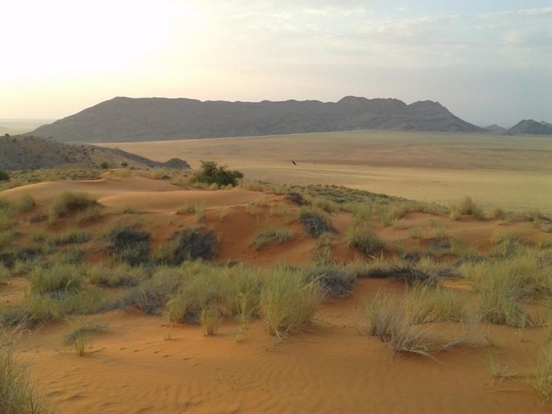 FOR SALE- IDEAL FOR SPECIAL TOURIST LODGE -FARM IN SOLITAIRE, NAMIBIA - Photo 5
