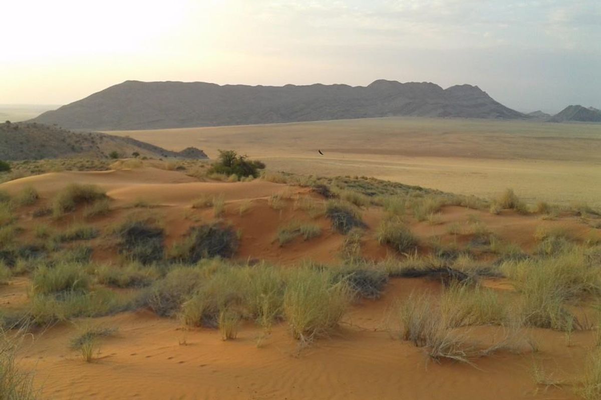 FOR SALE- IDEAL FOR SPECIAL TOURIST LODGE -FARM IN SOLITAIRE, NAMIBIA - Photo 5