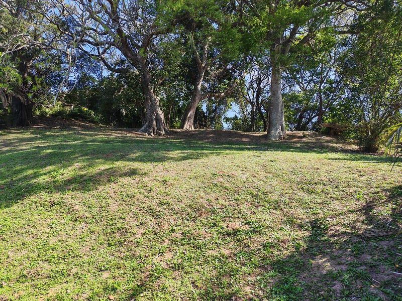 A view of a sloped, grass-covered residential plot featuring several mature trees providing natural shade and greenery.
