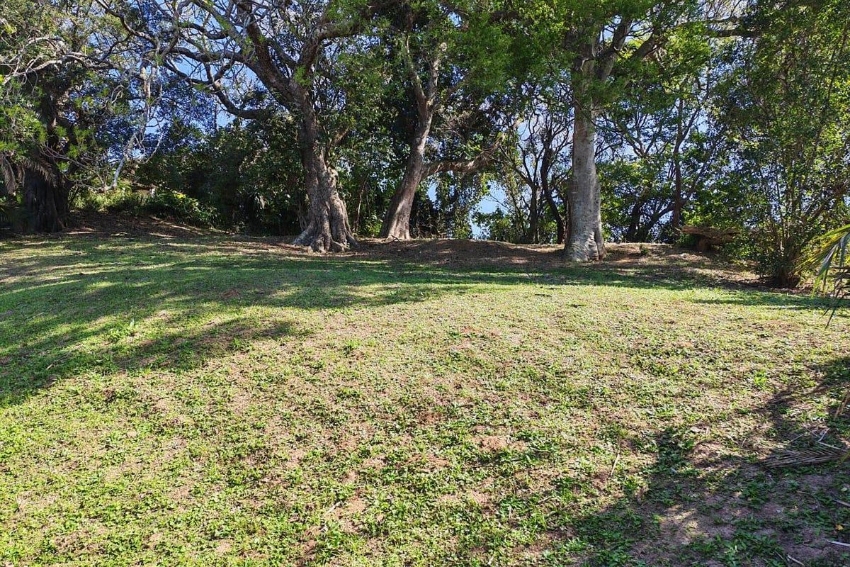 A view of a sloped, grass-covered residential plot featuring several mature trees providing natural shade and greenery.
